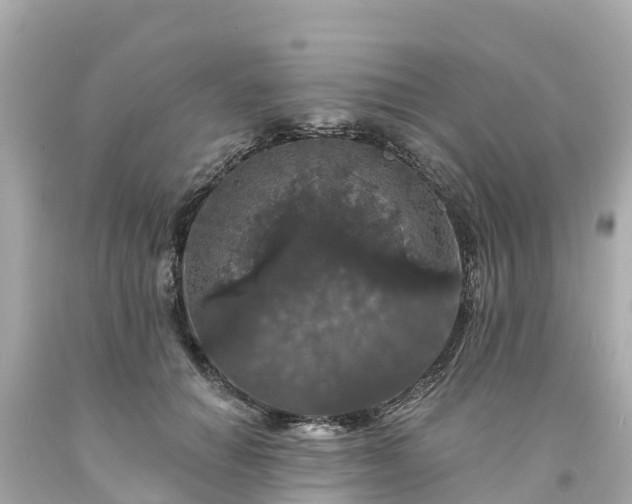 X0000094190654200711021029