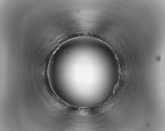 X0000094190656200711021029