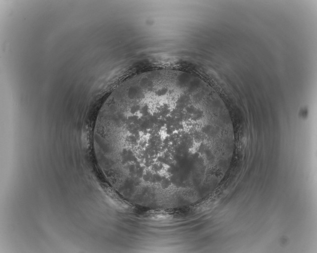 X0000094190658200711021029