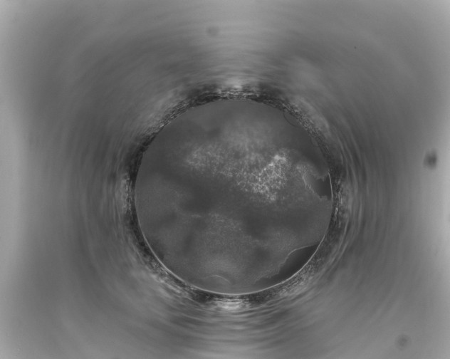 X0000094190659200711021029