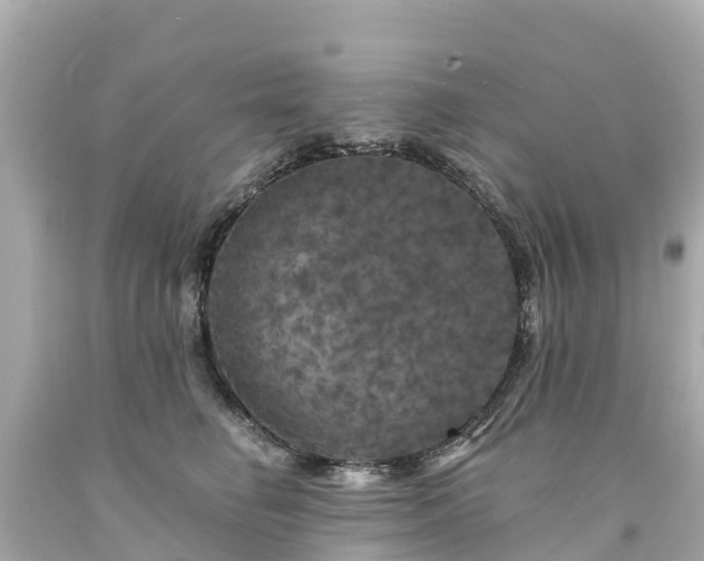 X0000094190662200711021029