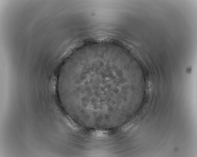 X0000094190664200711021029