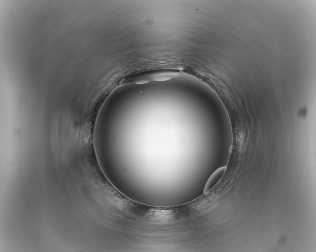 X0000094190665200711021029