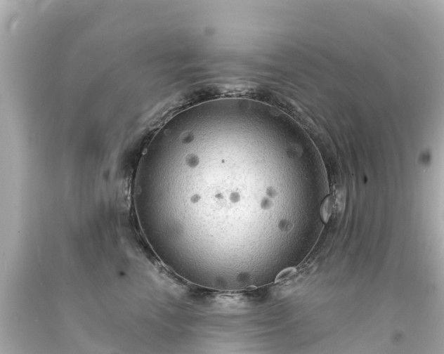 X0000094190666200711021029