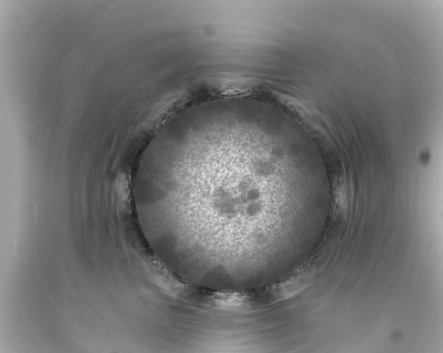 X0000094190667200711021029