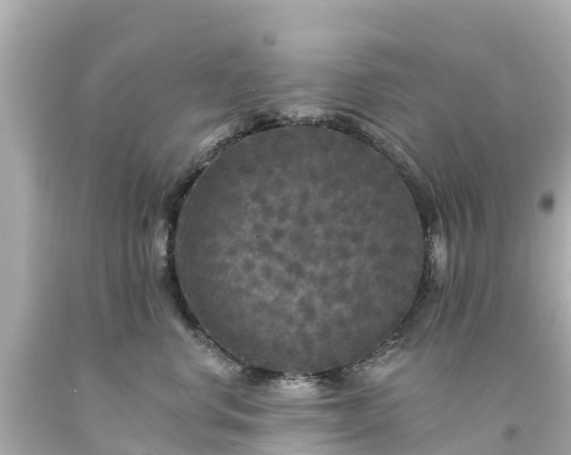 X0000094190668200711021029