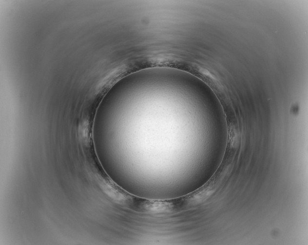 X0000094190670200711021029