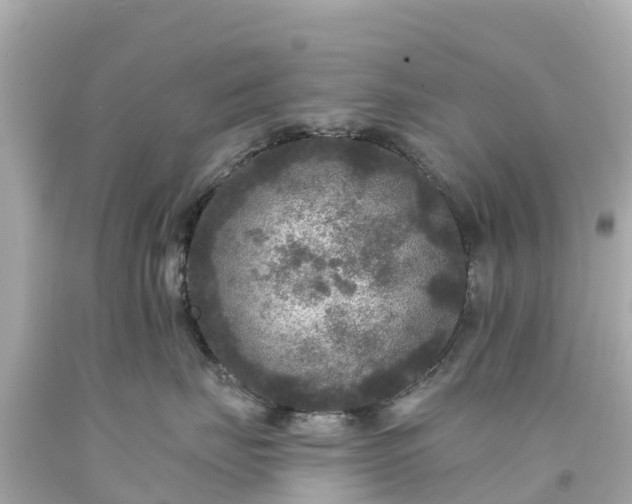 X0000094190671200711021029