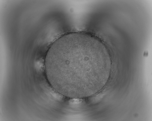 X0000094190672200711021029