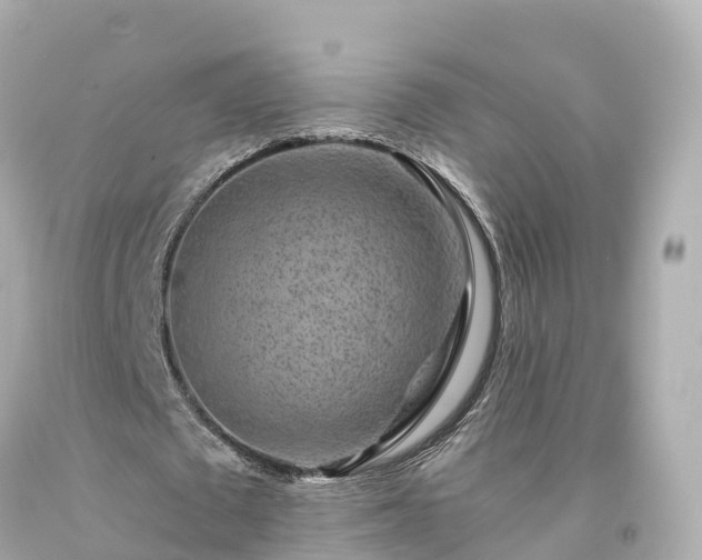 X0000094190673200711021029