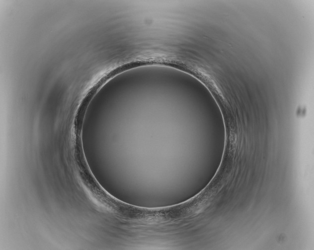 X0000094190674200711021029