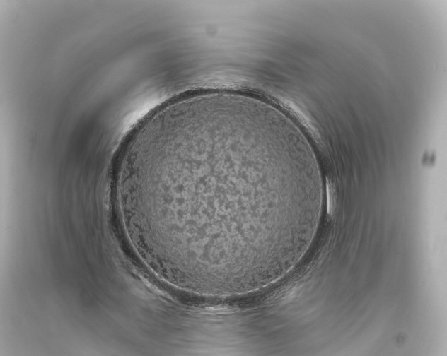 X0000094190675200711021029