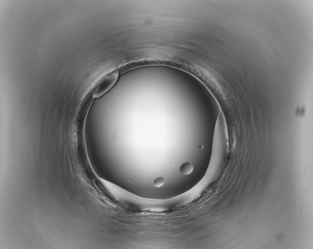 X0000094190676200711021029