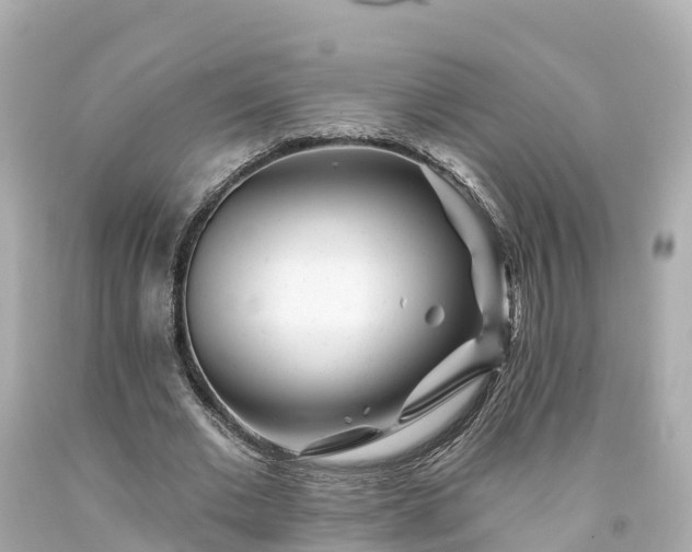 X0000094190677200711021029