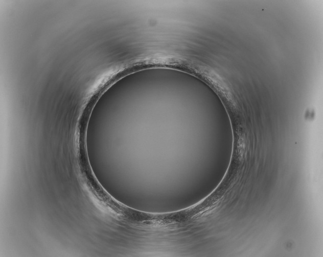 X0000094190678200711021029