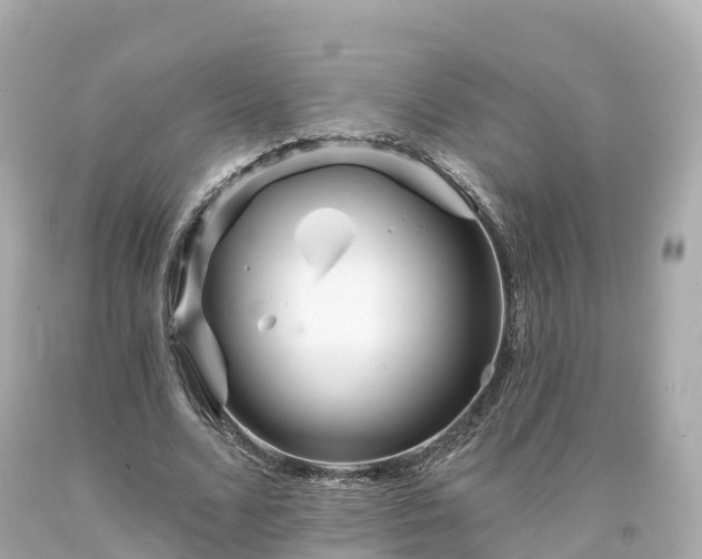 X0000094190680200711021029