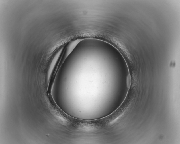 X0000094190681200711021029