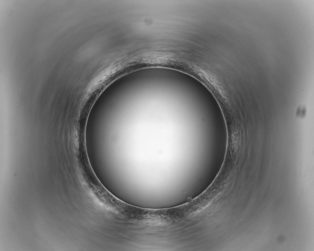 X0000094190682200711021029