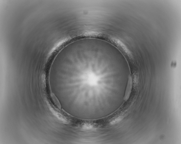 X0000094190684200711021028