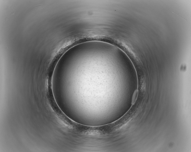 X0000094190685200711021028