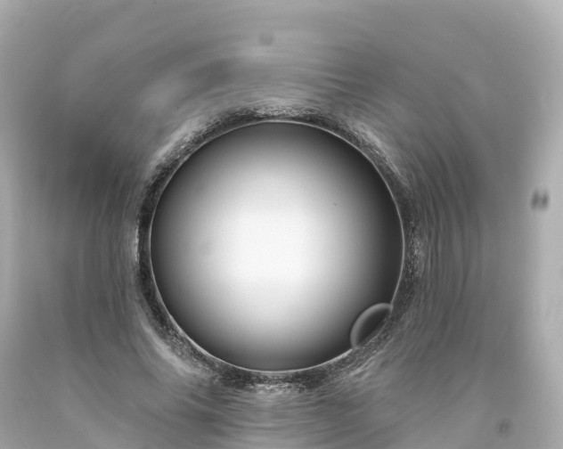 X0000094190686200711021028