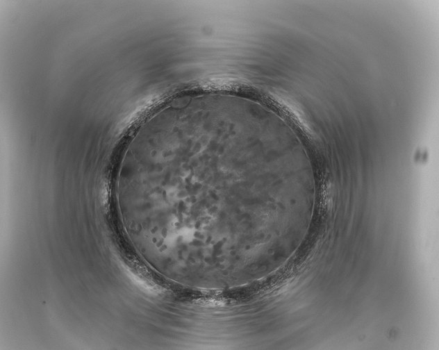 X0000094190687200711021028