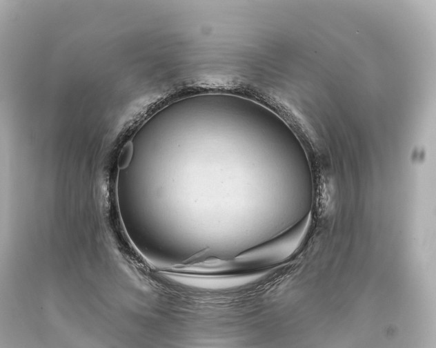 X0000094190688200711021028