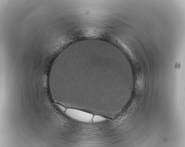 X0000094190689200711021028