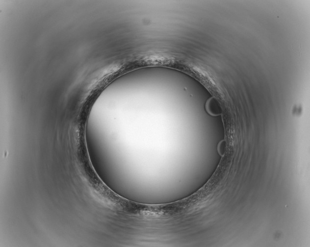 X0000094190690200711021028