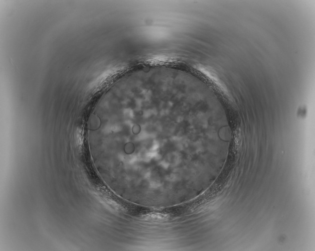 X0000094190691200711021028