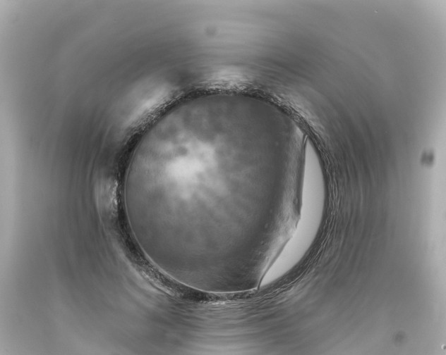 X0000094190692200711021028