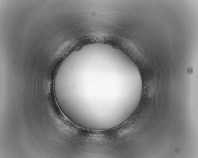 X0000094190694200711021028