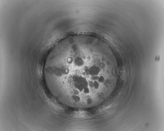 X0000094190695200711021028