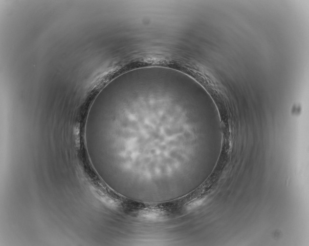 X0000094190696200711021028