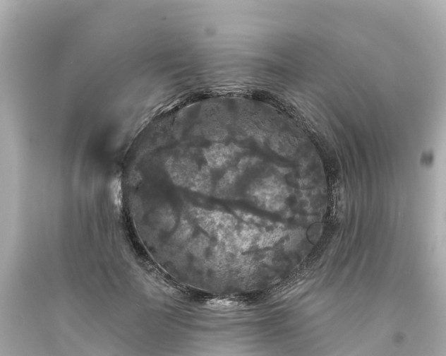 X0000094190699200711021028