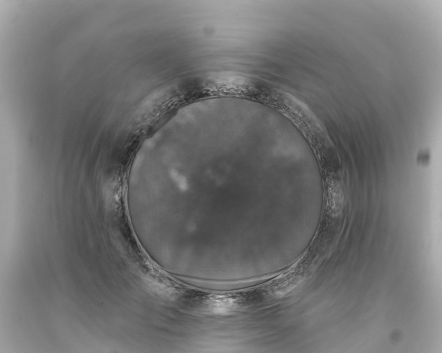 X0000094190701200711021028