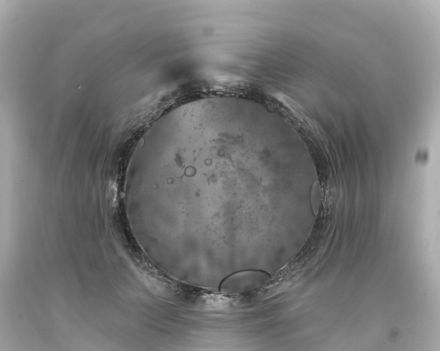 X0000094190703200711021028