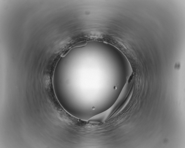 X0000094190704200711021028