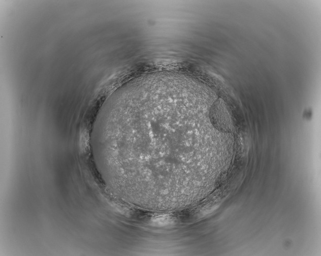 X0000094190705200711021028