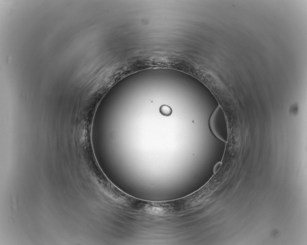 X0000094190706200711021028