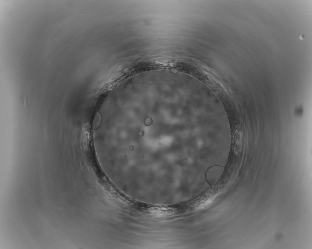 X0000094190707200711021028