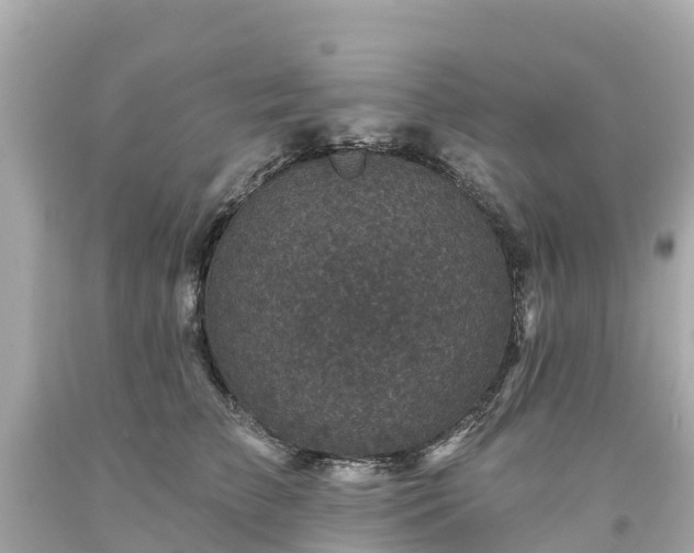 X0000094190709200711021028