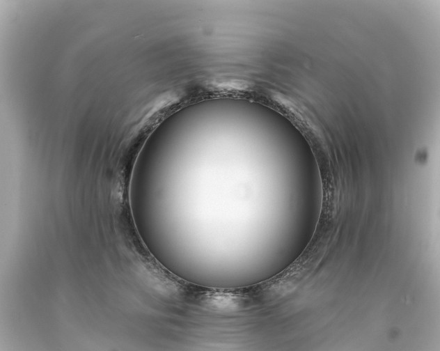 X0000094190710200711021028