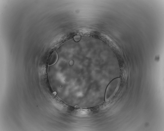 X0000094190711200711021028