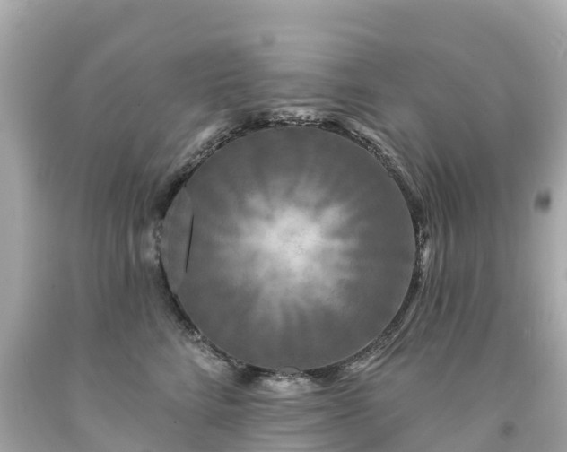 X0000094190712200711021028