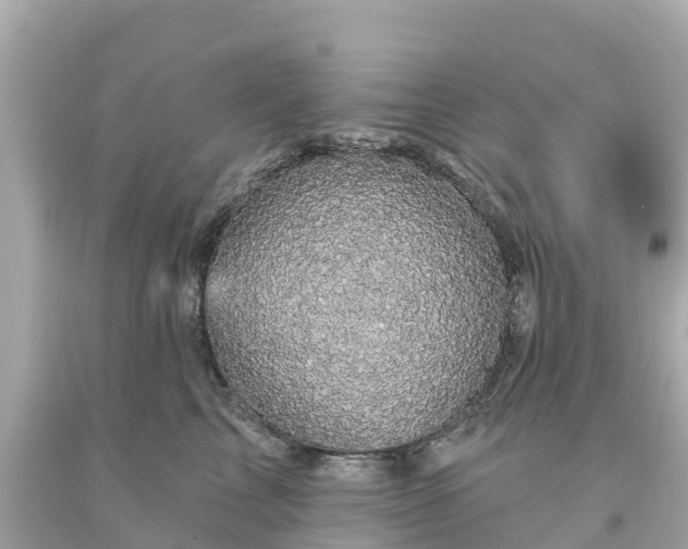 X0000094190713200711021028