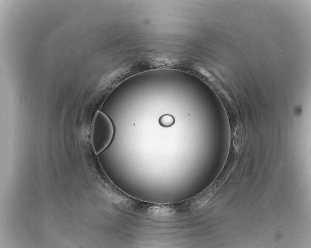 X0000094190714200711021028