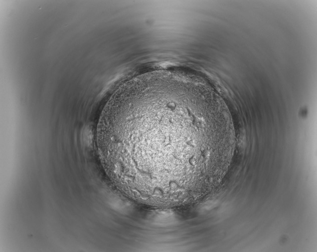 X0000094190715200711021028