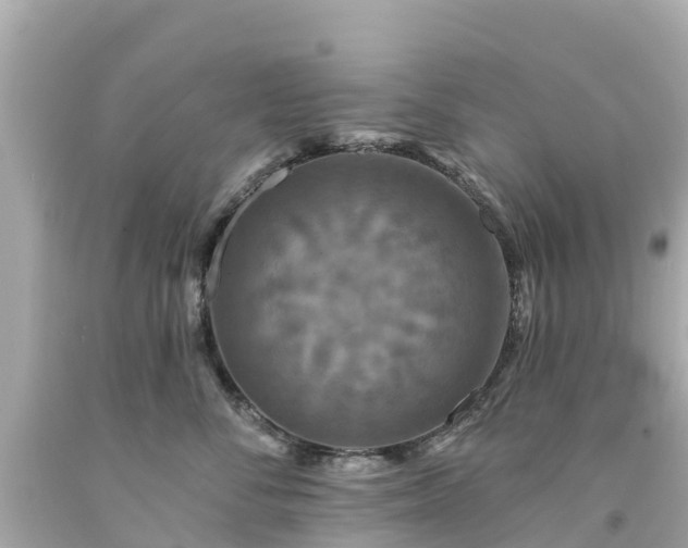 X0000094190716200711021028