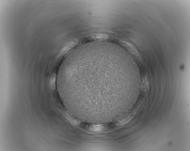 X0000094190717200711021028